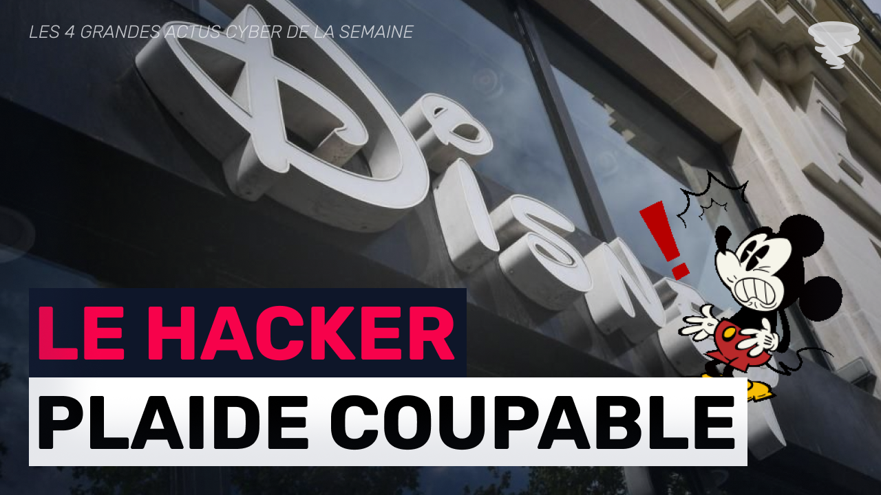 Illustration pour l'article Le hacker de disney plaide coupable !